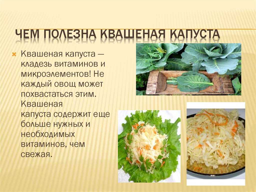 Салат из квашеной капусты его пищевая ценность