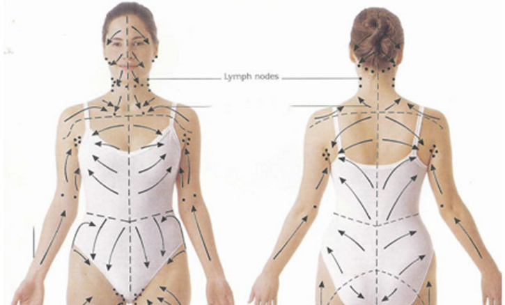 Лимфа массаж. Массажные линии тела схема лимфа. Массаж лимфы тела схема. Лимфатическая система массажные линии. Массажные линии лимфотока человека.