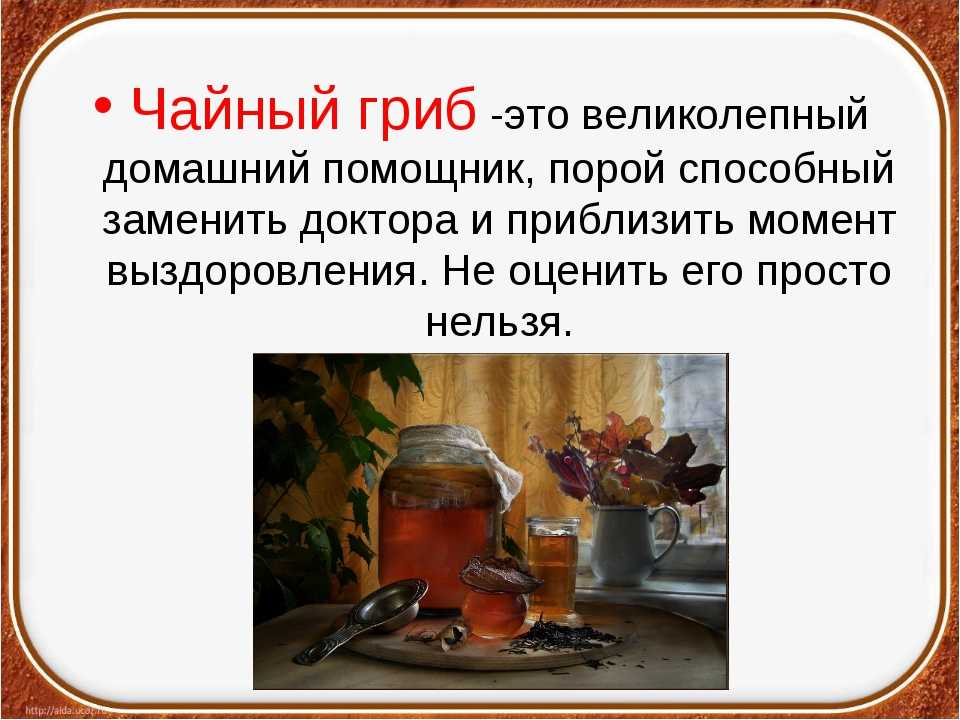 Чайный гриб как ухаживать и заваривать на 3 литровую банку рецепт с фото пошагово