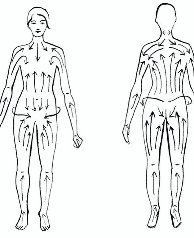 Движение лимфы в организме человека схема массаж
