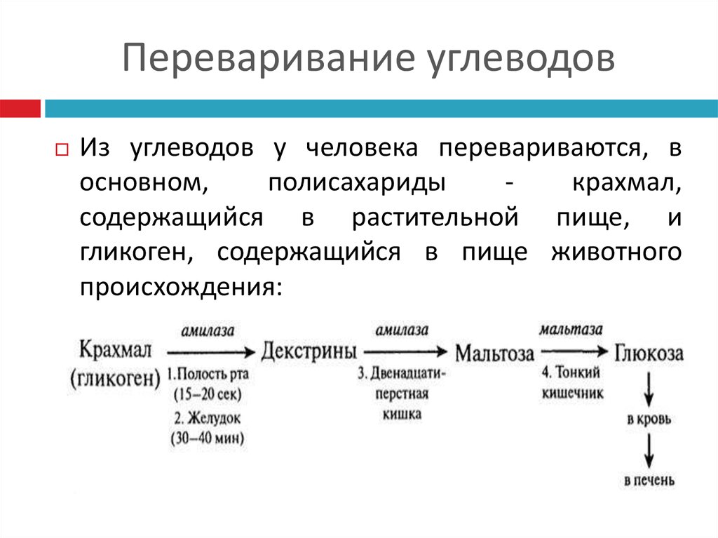 Какой фермент требуется в большом количестве для переваривания изображенного на рисунке продукта