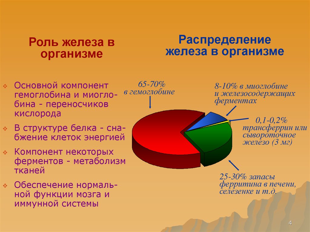 Железа здоровья. Распределение железа в организме. Функции железа в организме. Количество железа в организме человека. Важность железа в организме.