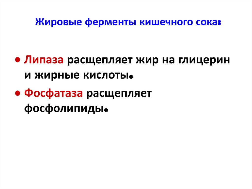 Ферменты жиров. Основные ферменты кишечного сока. Ферменты кишечного сока расщепляют. Фермент кишечного сока расщепляющий жиры. Жировые ферменты кишечного сока.