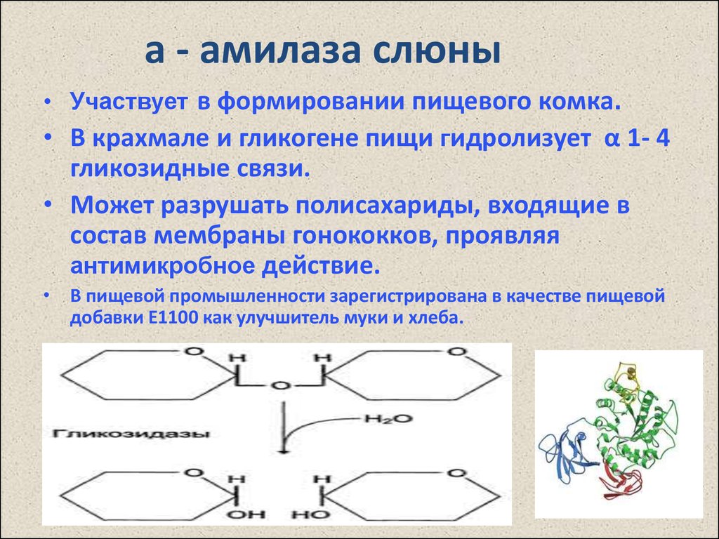 Фермент амилаза выберите ответ. Альфа амилаза слюны биохимия. Α-амилаза формула.