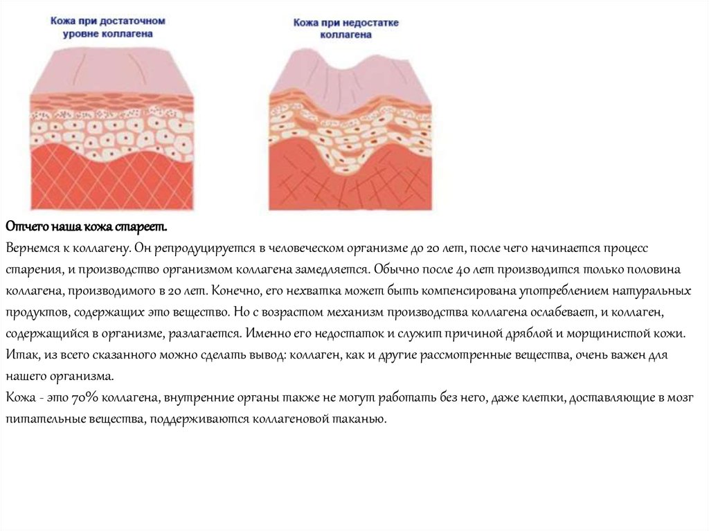 Зачем нужен коллаген картинки