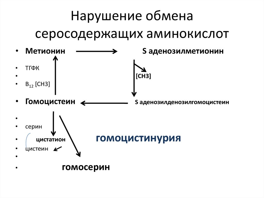 Схема получения аминокислот