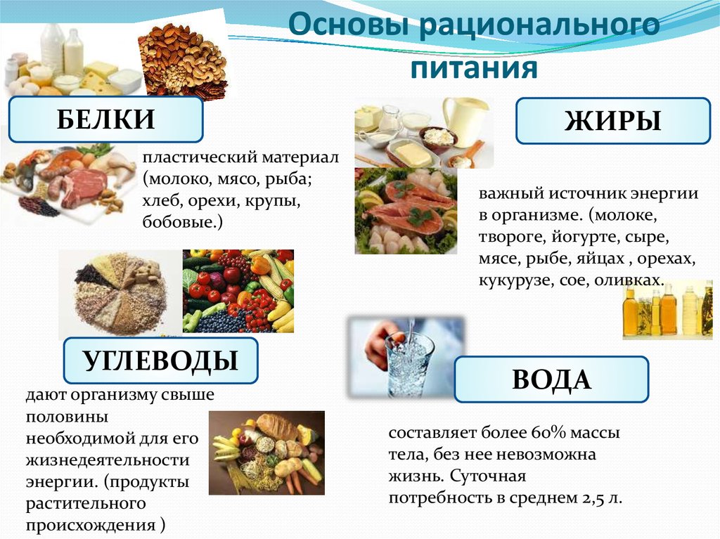 Белки в продуктах презентация