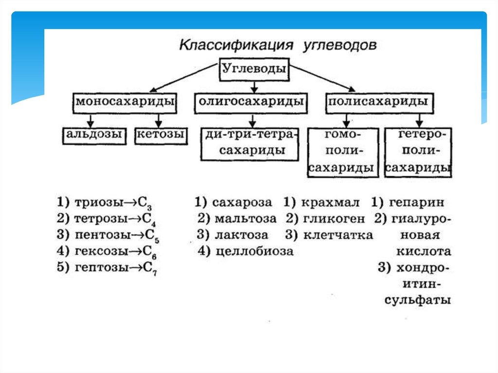 Классификация углеводов картинки