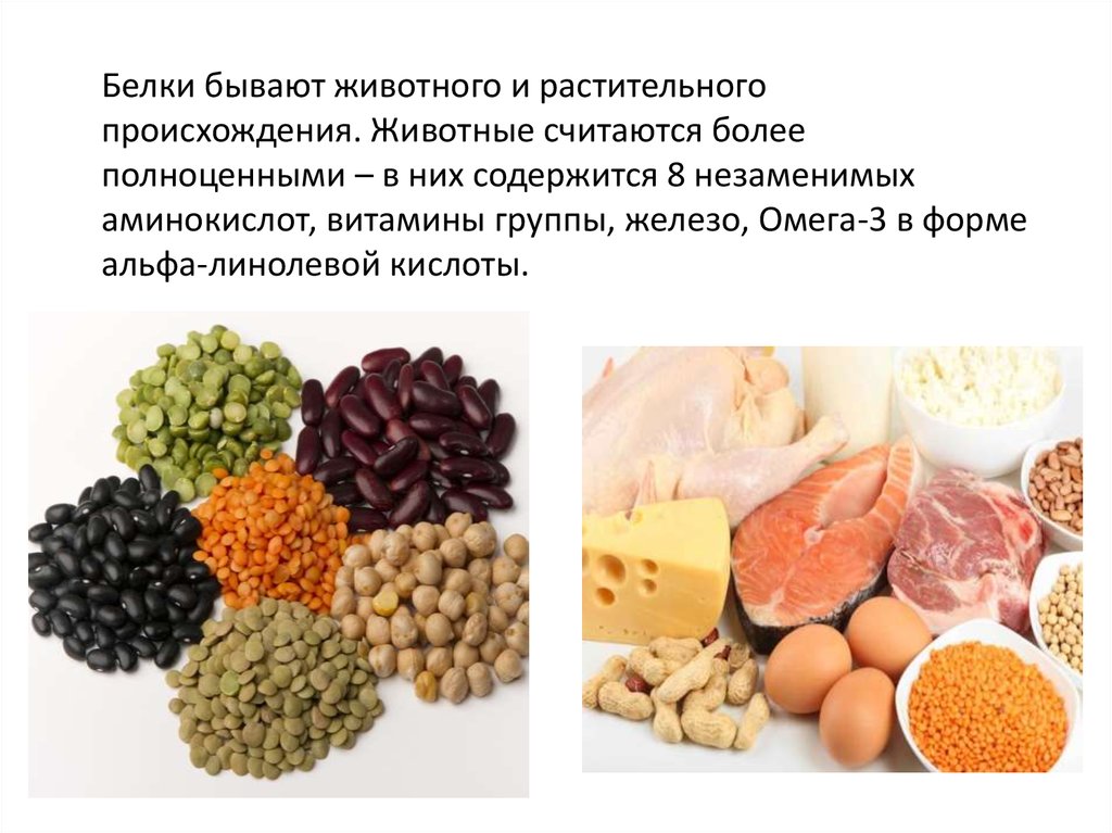 Растительные белки продукты