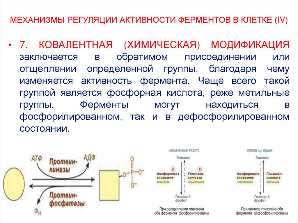 Схема опк биохимия