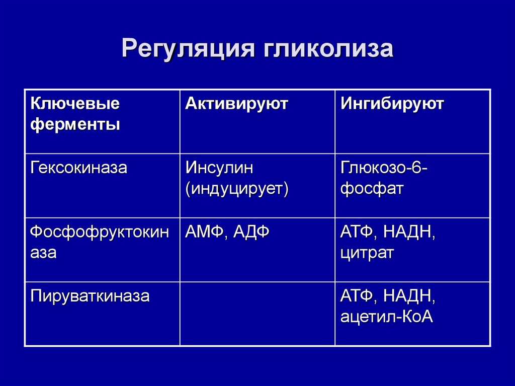 Схема регуляции гликолиза и глюконеогенеза