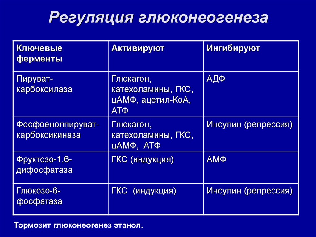 Схема регуляции гликолиза и глюконеогенеза