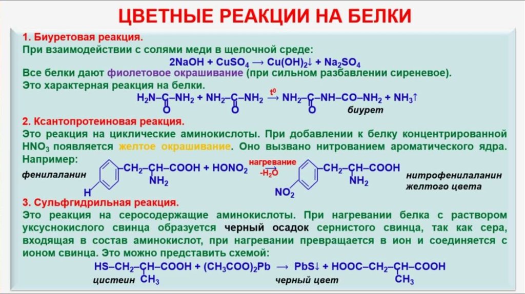 Как вставить картинку в сведения в амино