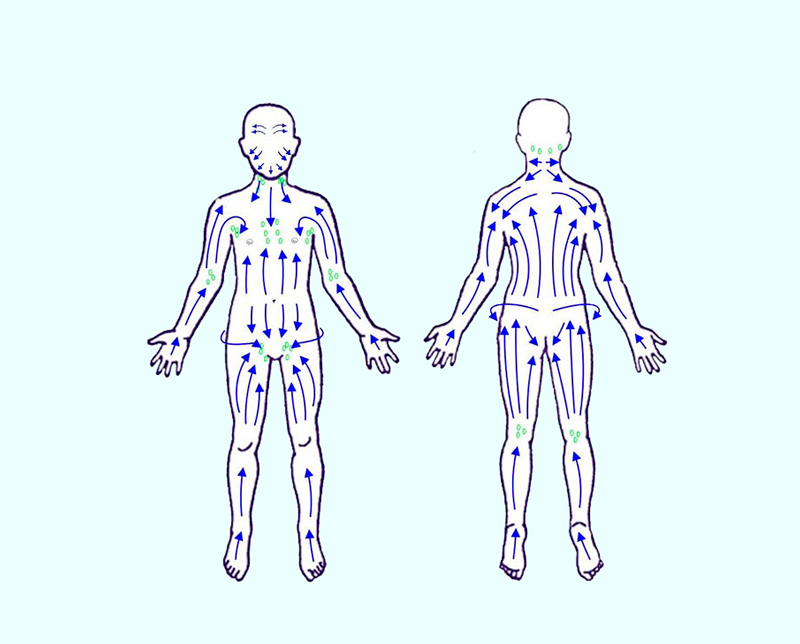 Для чего нужен лимфодренажный. Движение лимфы в организме человека схема. Лимфатическая система человека схема движения лимфы массаж. Схема лимфатической системы для массажа. Массаж лимфы тела схема.