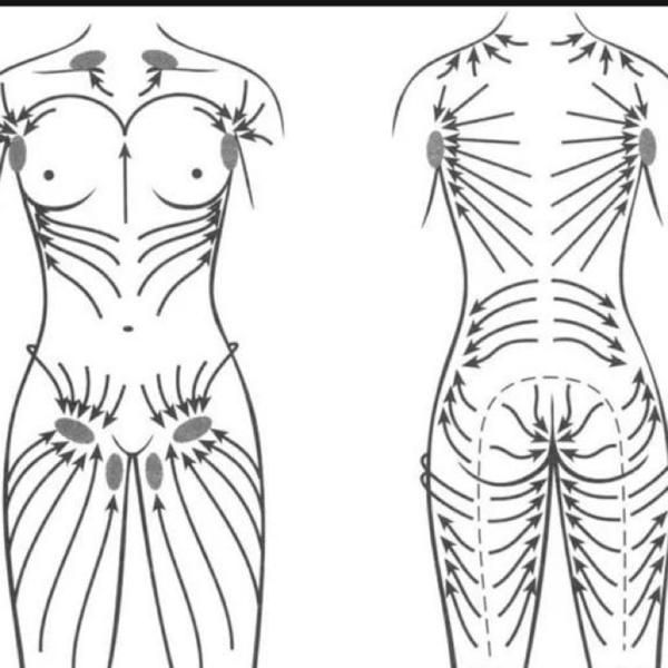 Массаж щеткой по сухому телу схема лимфодренаж