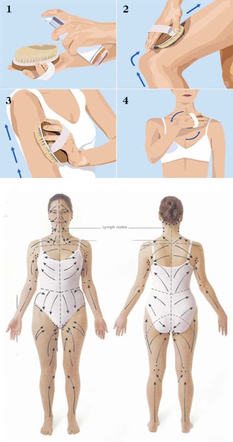 Схема лимфодренажного массажа тела