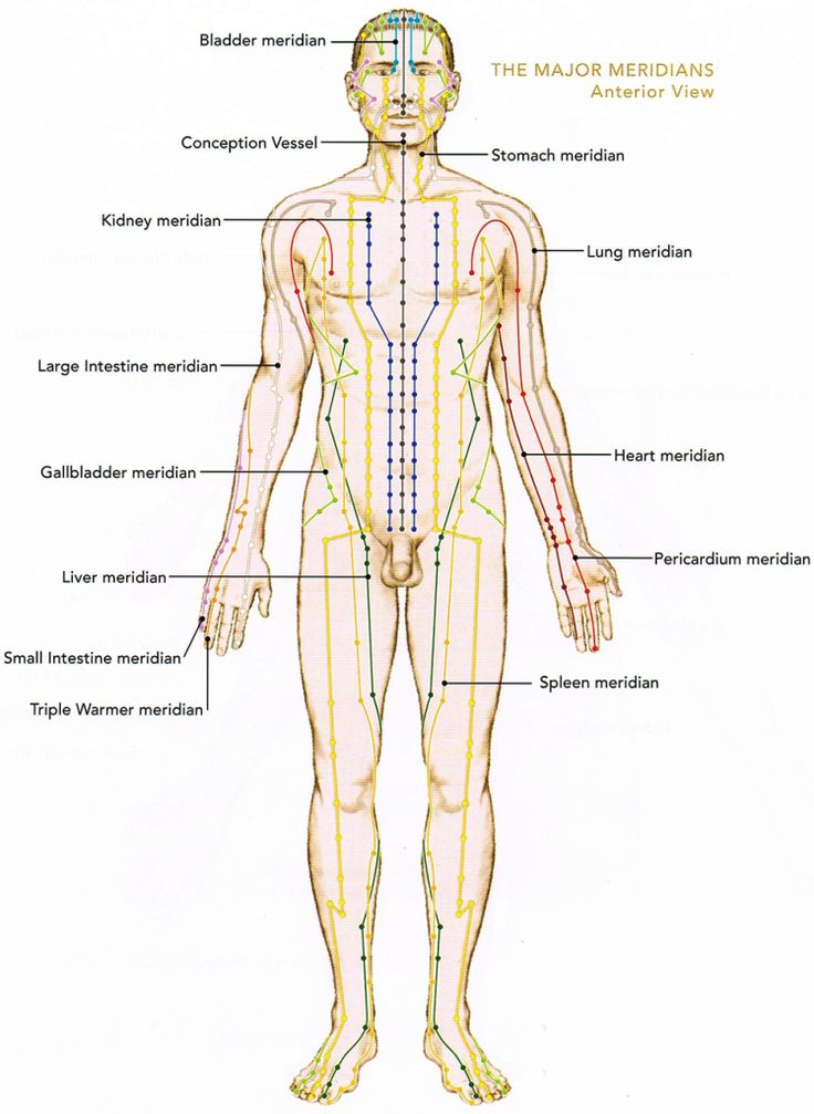 Меридианы в китайской медицине схема