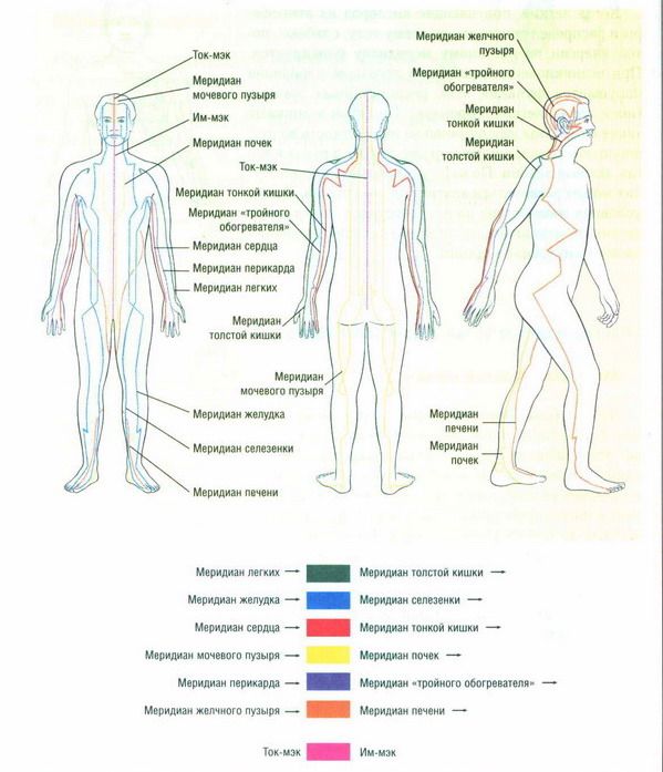 Какой человек схема. 12 Меридианов схема. Схема 12 меридианов акупунктуры. Меридианы человека схема и направления китайская. 12 Энергетических меридианов человека.