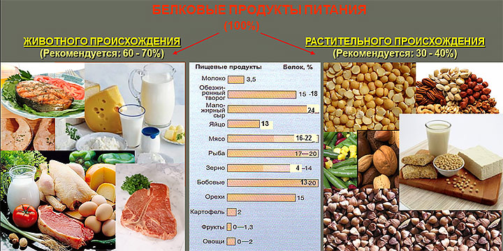 Примеры растительной пищи. Белковые продукты растительного и животного происхождения. Углеводы продукты животного происхождения. Углеводы в продуктах растительного происхождения. Растительные белки и жиры.