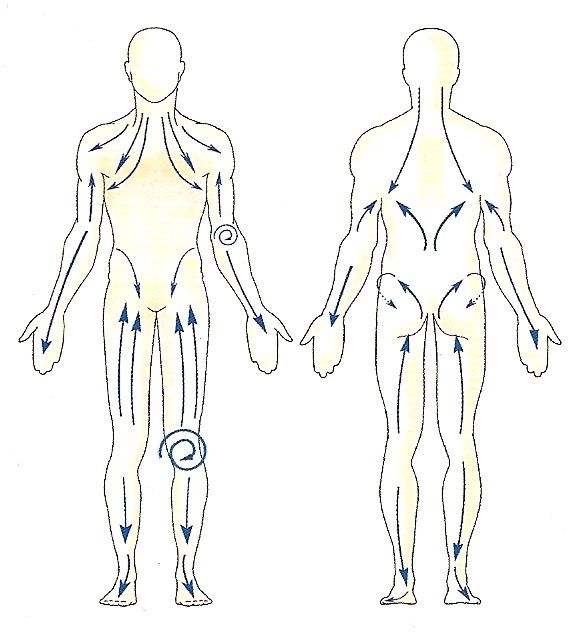 Движение лимфы в организме человека схема массаж