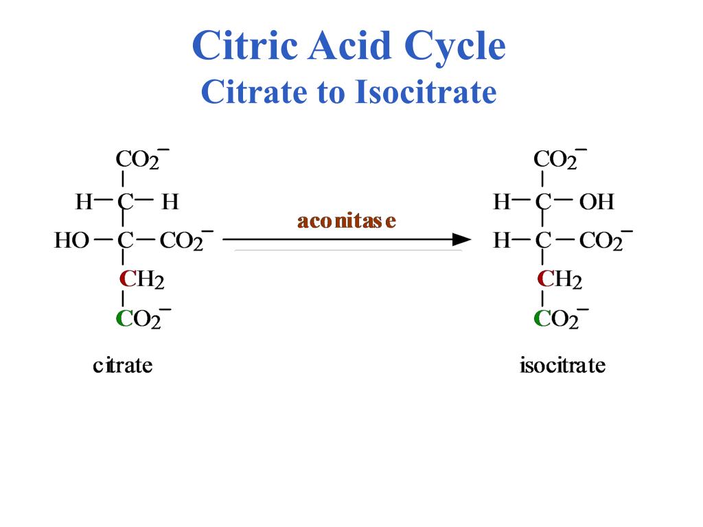 Amp citrate. Цитрик асид. Цитрат железа. Цитрат это лимонная кислота.