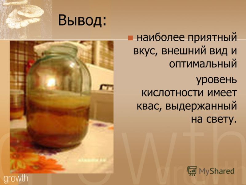 Чайный гриб на трехлитровую банку. Чайный гриб. Загадки про чайный гриб.