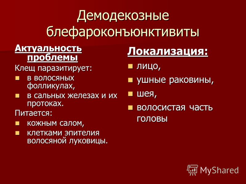 Демодекоз век у человека схема лечения