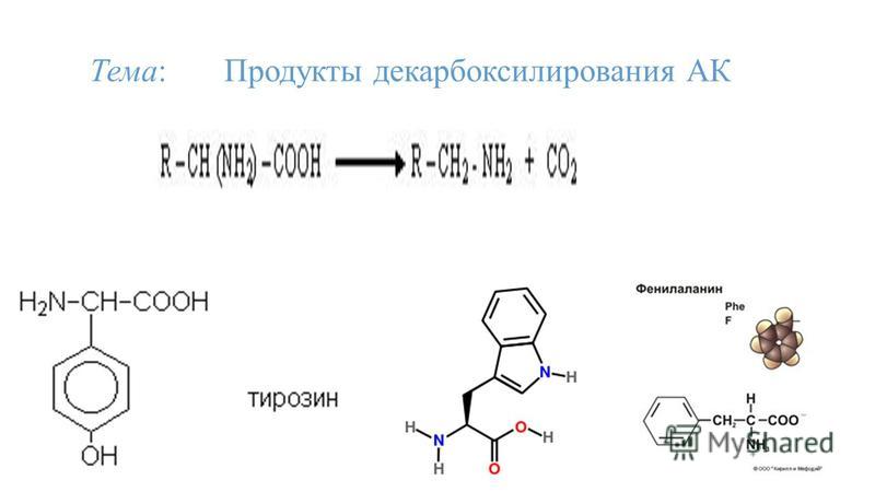 Л Тирозин Купить В Спб