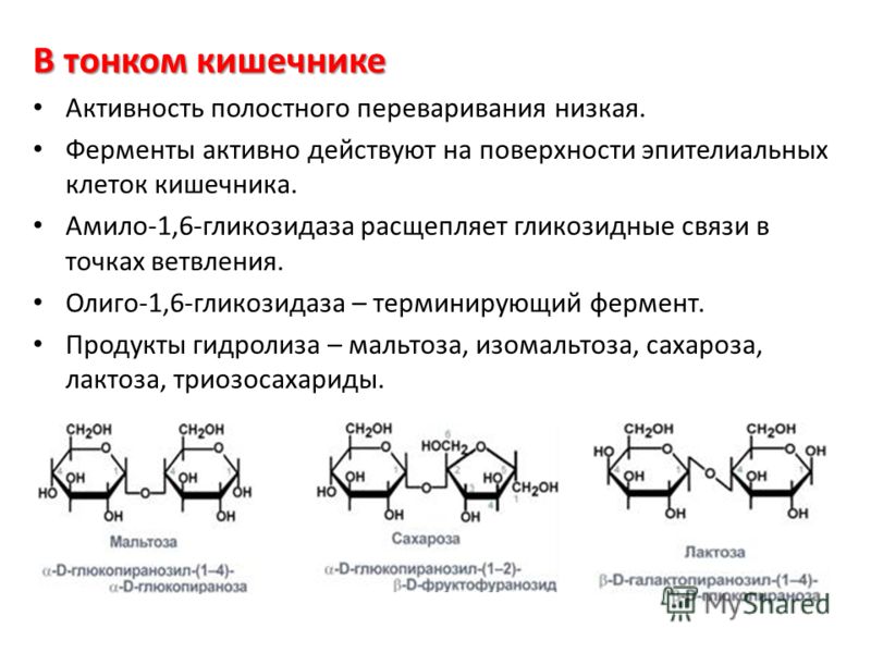 Сок содержит ферменты расщепляющие углеводы. Фермент амило-6-гликозидаза. 1-6 Гликозидные связи в углеводах. Олиго 1 6 глюкозидаза. Реакция катализируемая амило 1-6 гликозидазой.