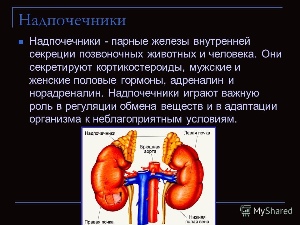 Пара железы. Надпочечники железа функции. Надпочечники гормоны и функции кратко. Гормоны коры надпочечников функции в организме. Надпочечники парные железы.