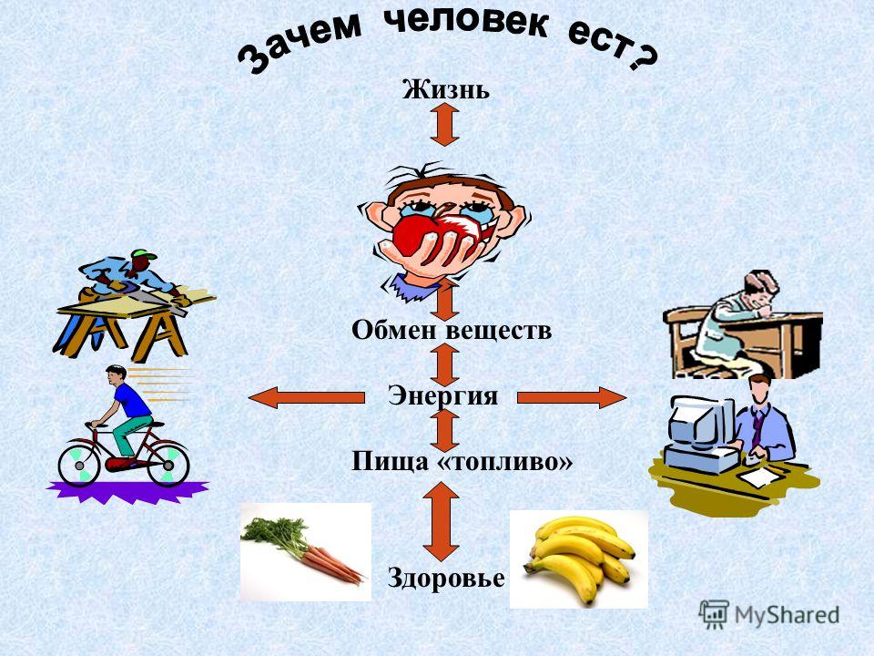 Какие продукты дают энергию и силы организму. Еда источник энергии для организма. Питание и энергия человека. Энергия источника питания. Источники энергии в организме человека.