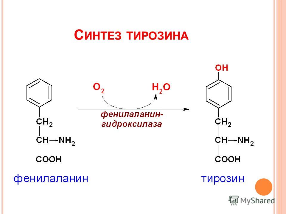 В каких продуктах фенилаланин. Синтез фенилаланина. Образование тирозина из фенилаланина реакция. Фенилаланин и тирозин формулы.