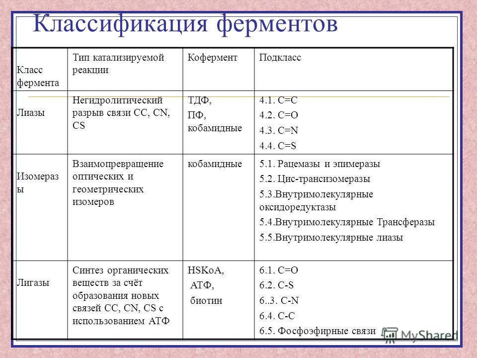 Ферменты проект по химии