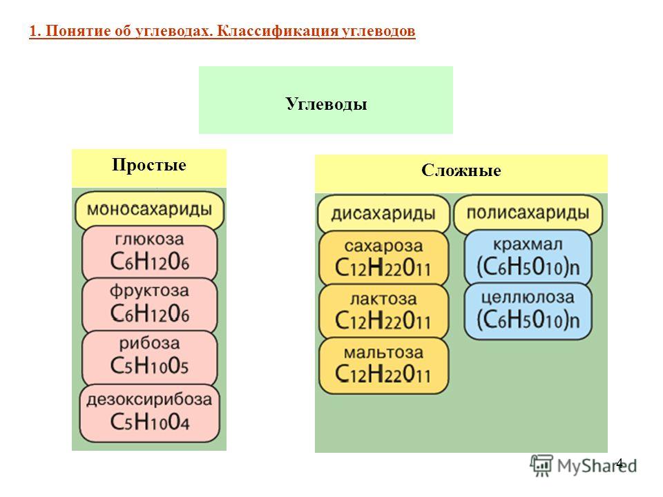 Углеводы химия презентация