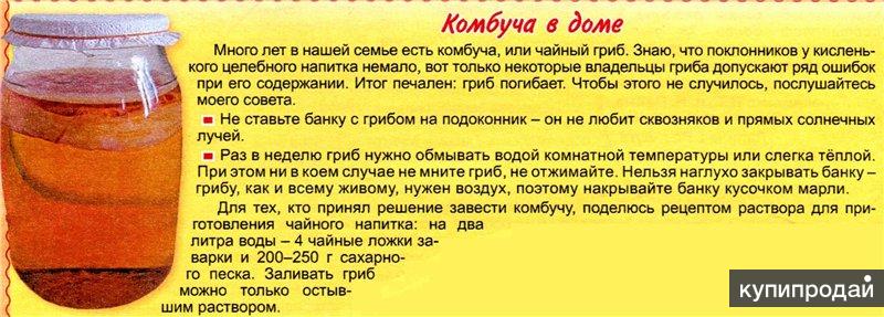 Как сделать чайный гриб в домашних условиях с нуля рецепт с фото пошагово в домашних