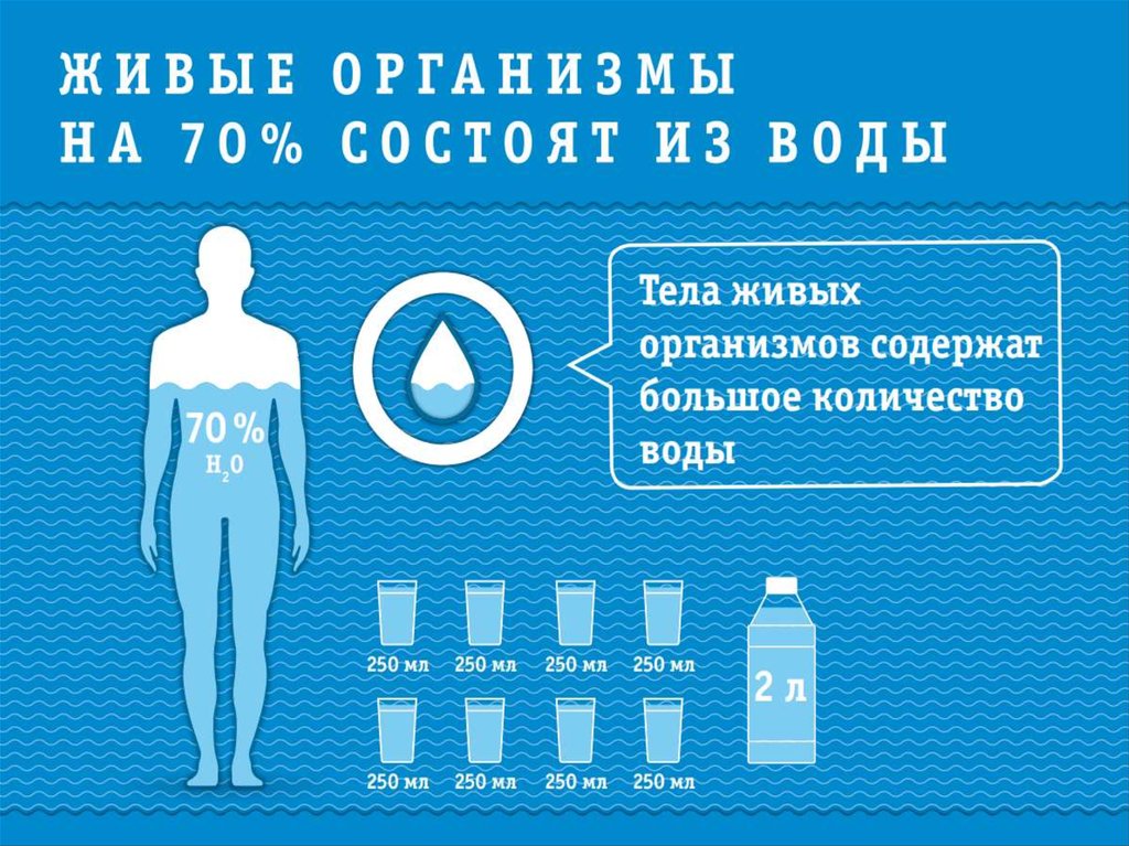 Вода в организме картинки