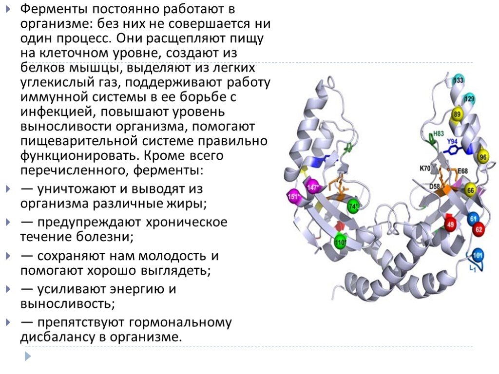 Энзимы что это простыми словами. Амилаза нахождение в организме. Ферменты. Ферменты это. Ферменты в организме человека.