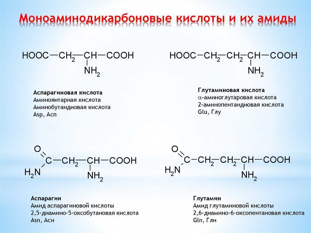 Аспарагиновая кислота формула. Аспарагиновая к-та + 2-оксопентандиовая кислота. Оксобутановая кислота + nh2oh. 2-Аминопентандиовая кислота (глутаминовая кислота). Аспарагиновая кислота название по ИЮПАК.