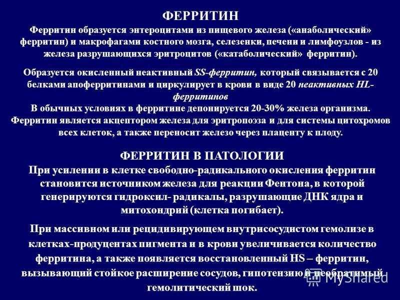 Низкий ферритин симптомы. Ферритин. Ферритин образуется. Ферритин это в патологии. Образование ферритина.