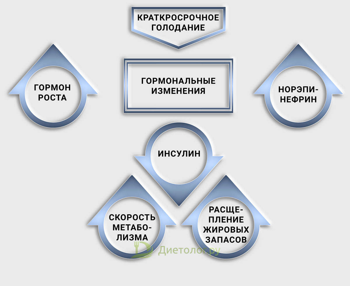 Интервальное голодание 15 9 схема