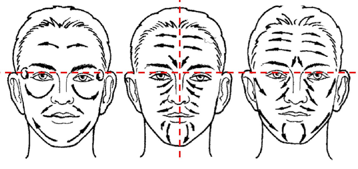 Массаж лица схема движений картинки