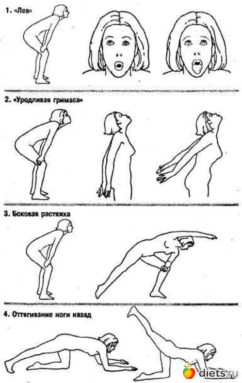 Упражнения для бодифлекса в картинках